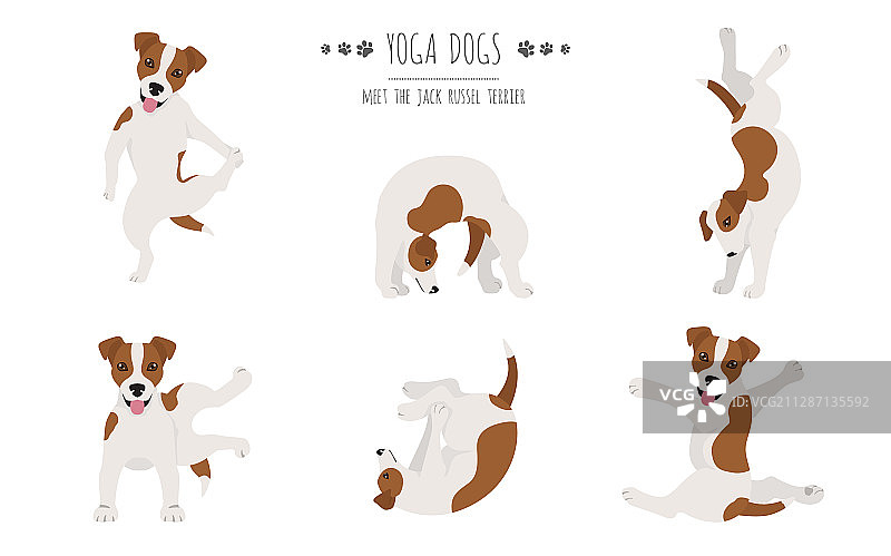 瑜伽狗姿势和运动海报设计杰克图片素材