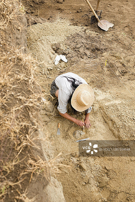 考古学家正在挖掘一个头骨图片素材