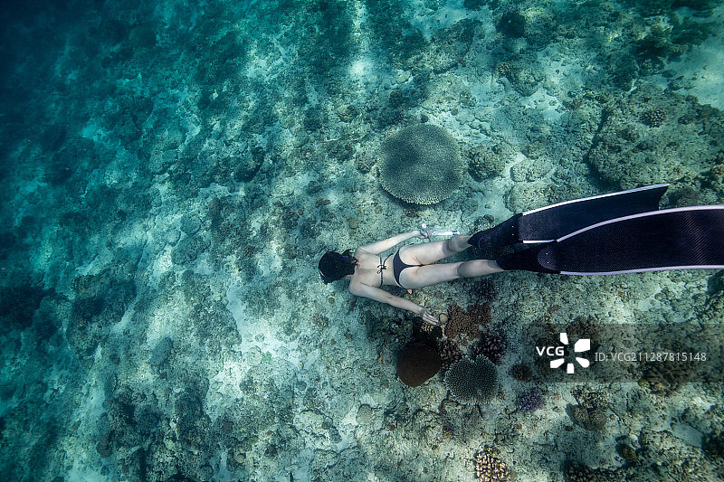 一个女性自由潜水员图片素材