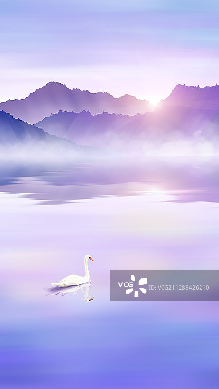 日出时分在平静湖面上的白天鹅图片素材