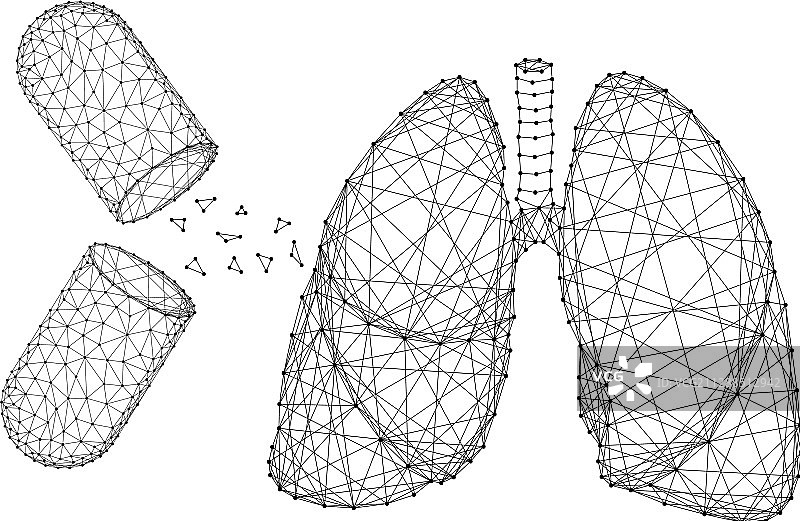 人体肺部器官和物质开放图片素材