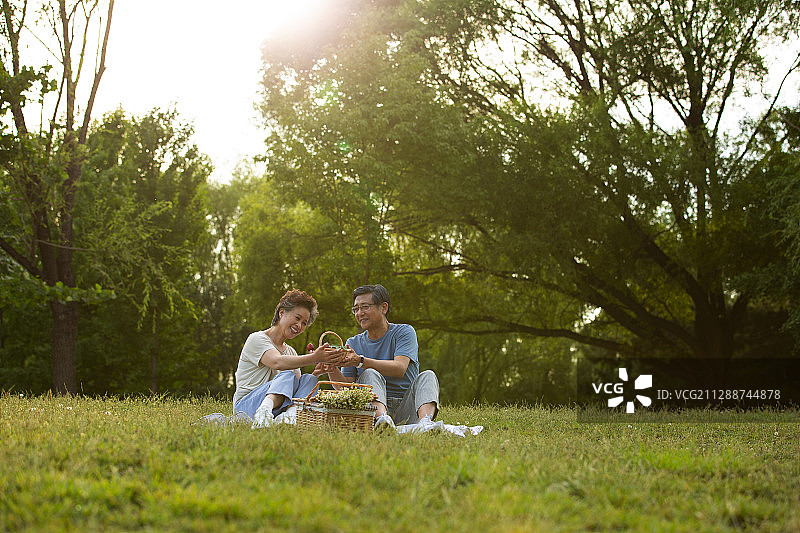 老年夫妻侣户外公园野餐图片素材