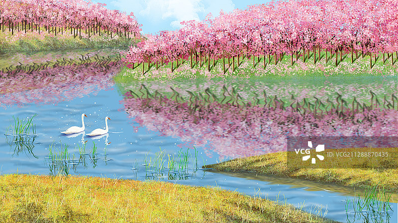 春夏季节河岸上的草坪和樱花树插画图片素材