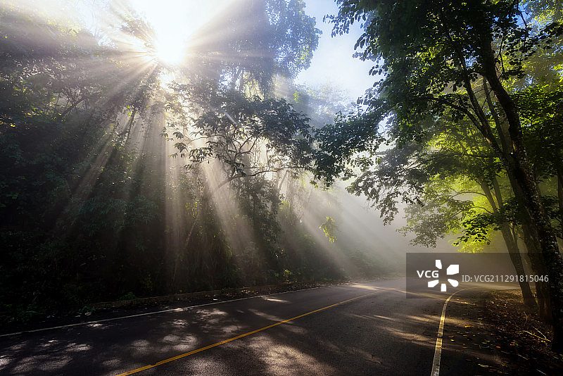 阳光透过薄雾，清莱，泰国图片素材