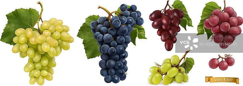 葡萄酒葡萄table葡萄新鲜水果3d逼真图片素材