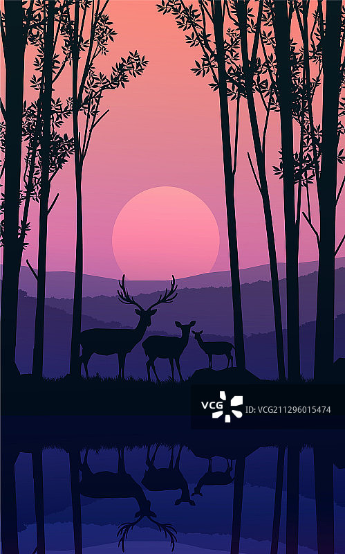 鹿群是天然森林中的野生动物图片素材