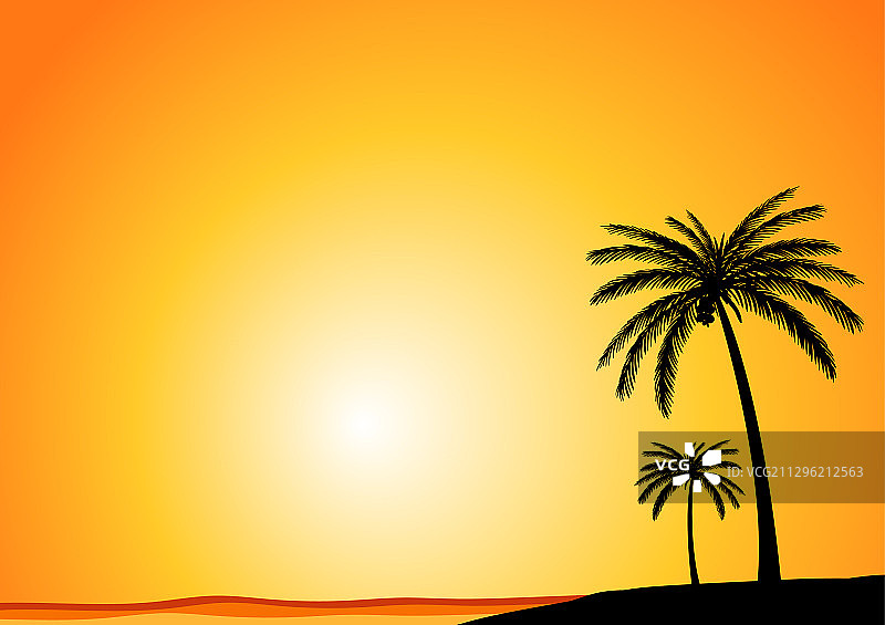 椰子树夏日背景图片素材