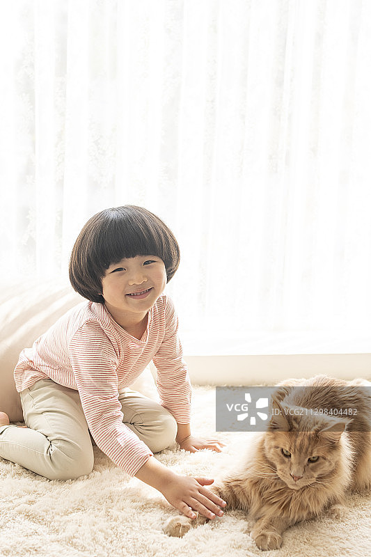 小男孩坐在地毯上，抚摸着窗边的猫图片素材