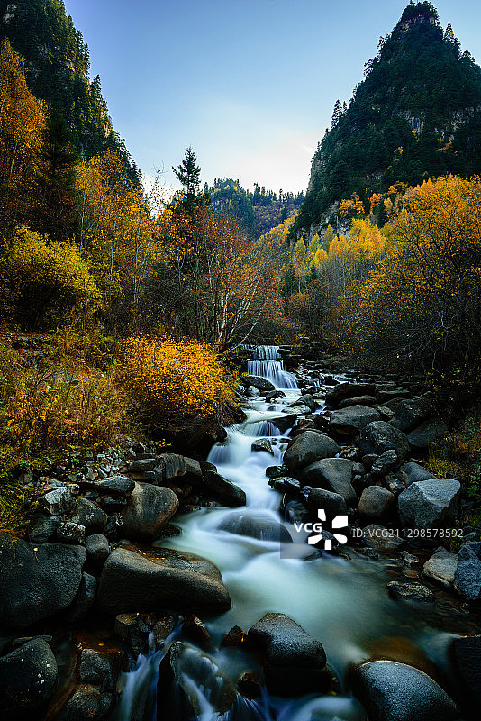 小溪流过岩石在森林中对天空的风景图片素材
