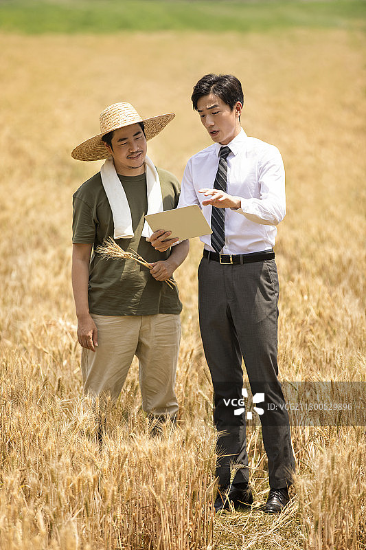 农民和商务男士在麦田里谈话图片素材