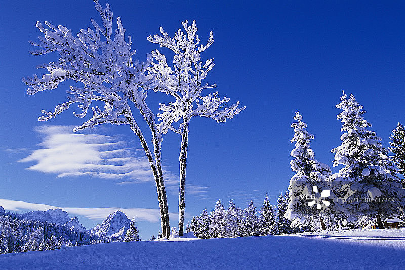 雪覆盖的景观，滑雪地区豪斯伯格，Garmisch Partenkirchen，德国巴伐利亚州图片素材