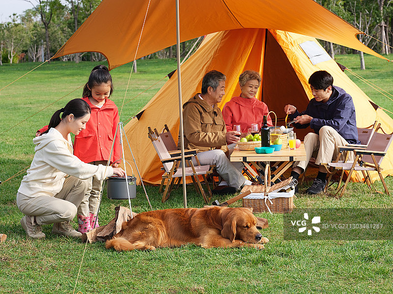 快乐的五口之家和宠物狗在户外野餐图片素材
