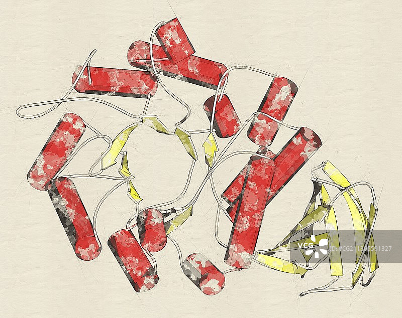 α -半乳糖苷酶分子，插图图片素材