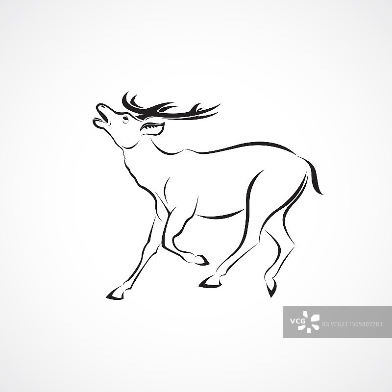 鹿设计上白色背景的野生动物图片素材