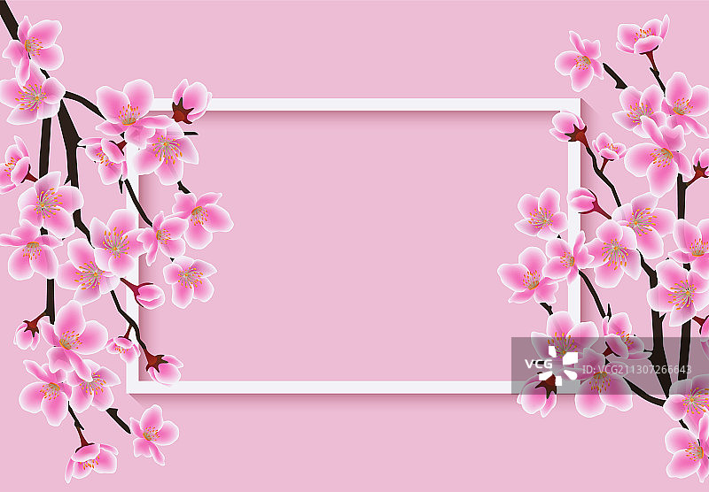 水平矩形框架与樱花或樱桃图片素材