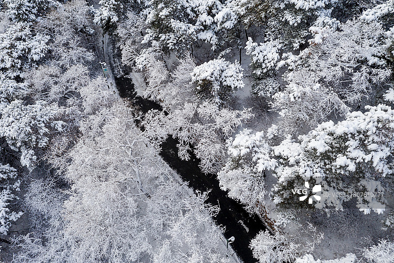 无人机航拍冬天雪后的林间公路图片素材
