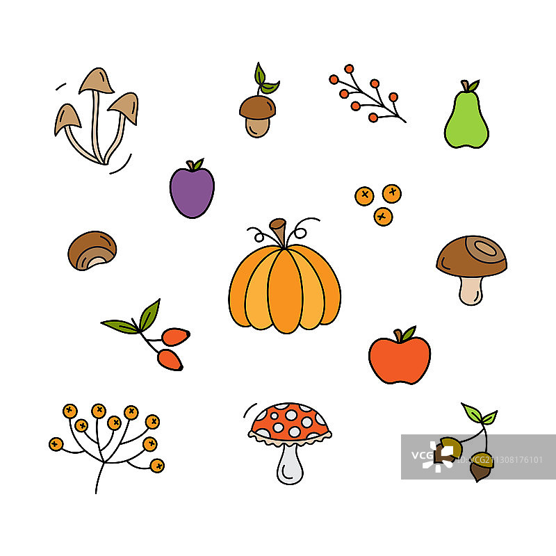 秋季植物图片素材