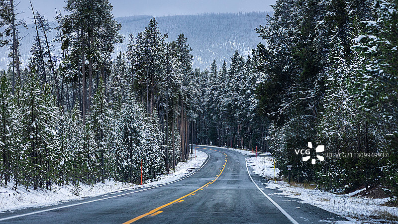 冬季，美国怀俄明州黄石国家公园的树林中空旷的道路图片素材