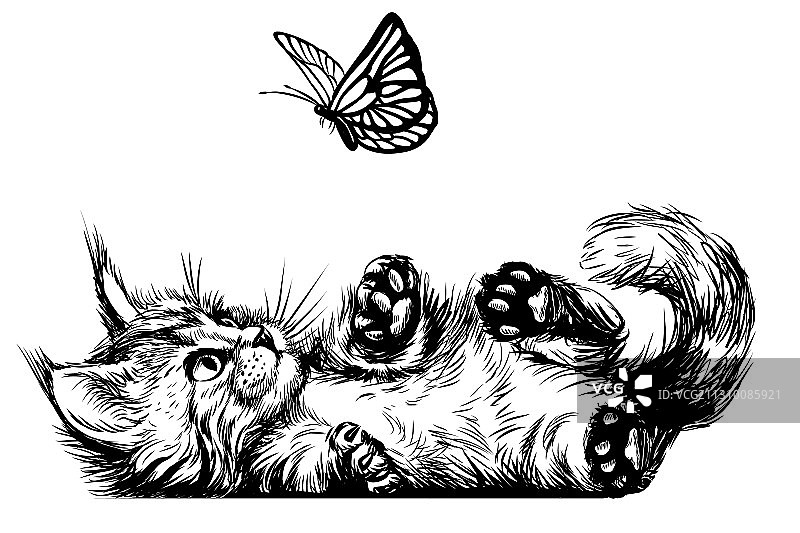 一只小猫在和一只蝴蝶玩图片素材