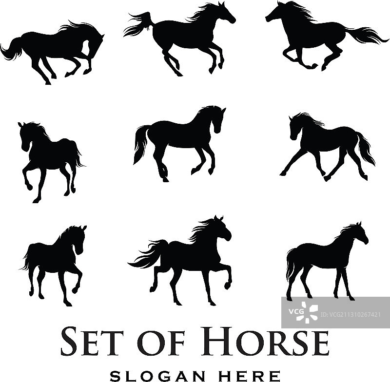 马的轮廓图片素材