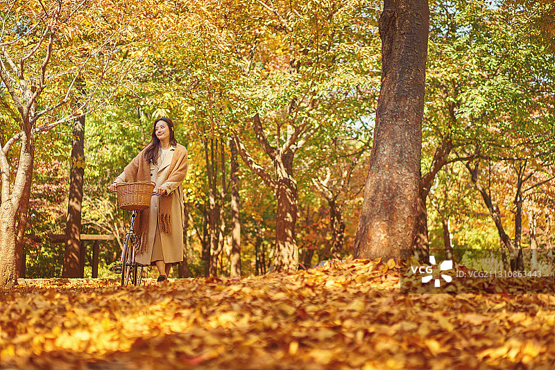 秋天，情感，野餐，快乐，枫叶，落叶，自行车，假期图片素材
