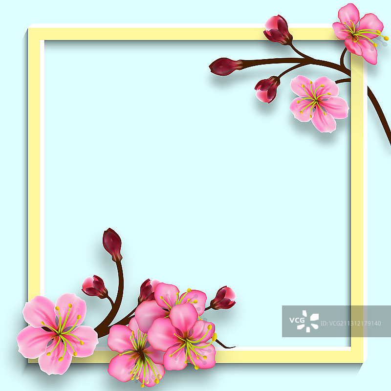 框架与樱花的树枝图片素材