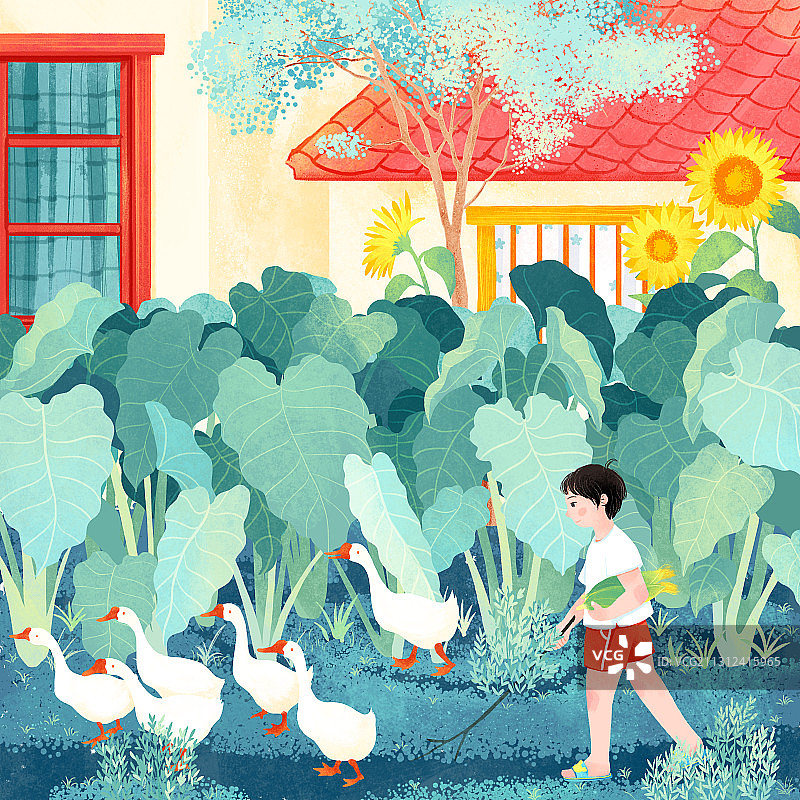 八月处暑芋头叶向日葵大白鹅男孩插画图片素材