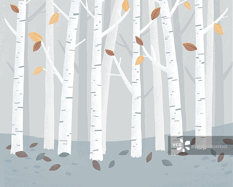 冬天秋天树林落叶插画图片素材