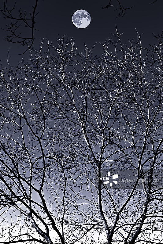 冬日月夜+南京图片素材