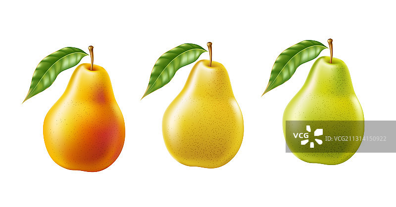 逼真的黄熟梨健康食品套装图片素材