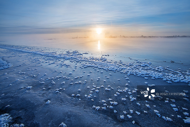清晨冰河边的冰凌花图片素材