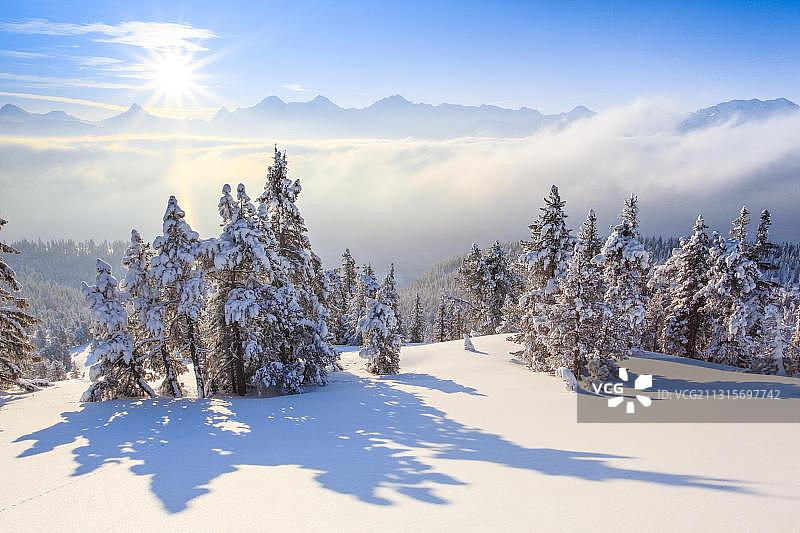 伯恩斯阿尔卑斯山，从尼德霍恩，瑞士，欧洲图片素材