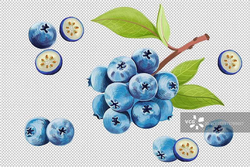 蓝莓水果插画图片素材