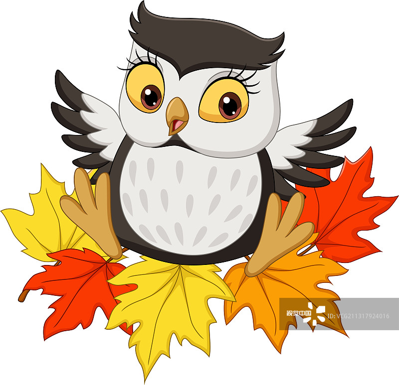 可爱的猫头鹰卡通坐在秋天的树叶上图片素材