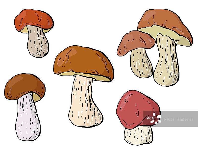 秋置蘑菇图片素材