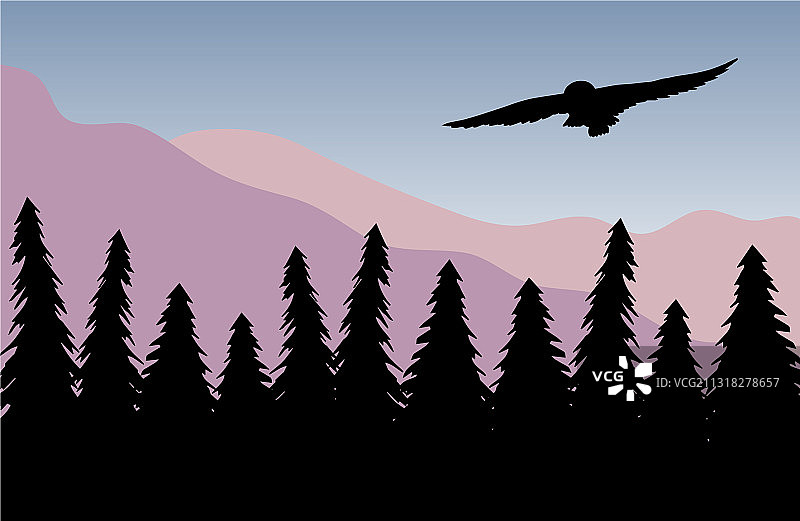 云杉和山脉的景观上的猫头鹰图片素材