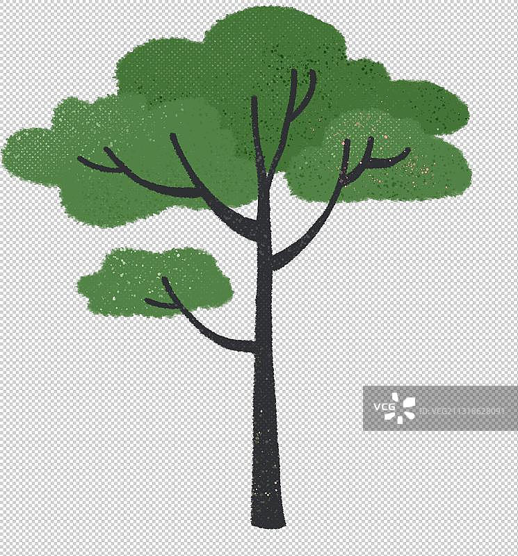 春天植树科普树种植物元素装饰卡通平面绿色樟树图片素材