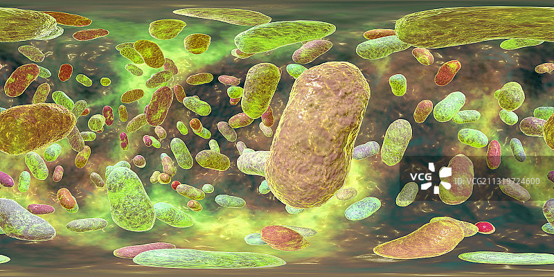 牙龈卟啉单胞菌，口腔细菌，插图图片素材