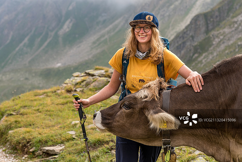 徒步旅行者遇见奶牛，瑞士提契诺图片素材