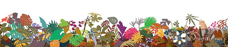 色彩缤纷的热带植物水平边框图片素材