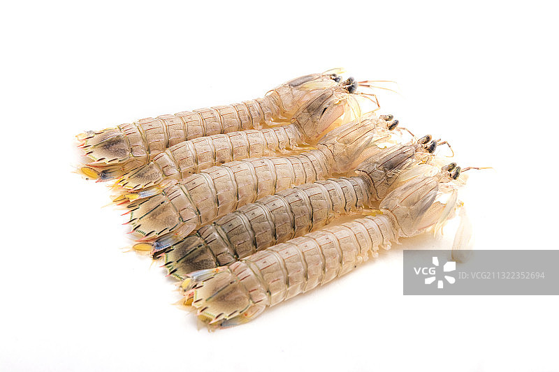河虾 海鲜皮皮虾图片素材