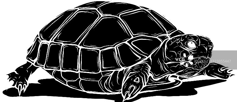 黑色剪影海龟图标卡通热带图片素材