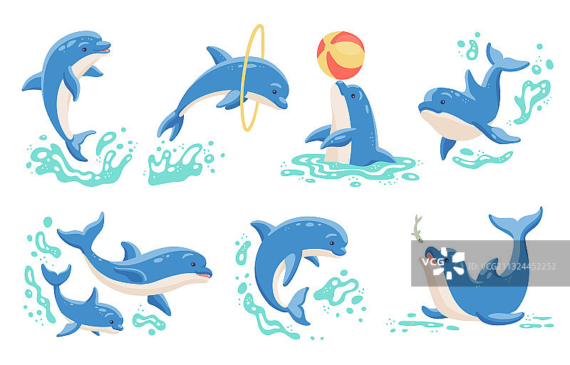 海豚在水中嬉戏跳跃图片素材