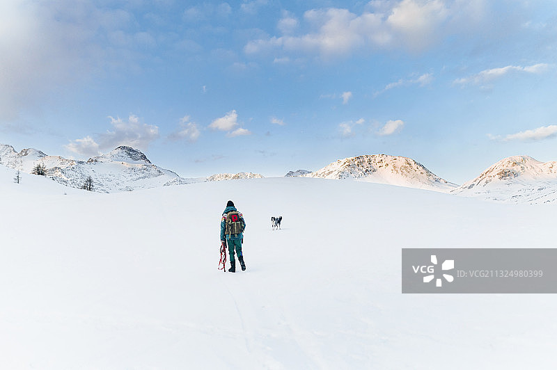 在斯瓦卡里亚，瑞士的雪山上滑雪的人的后视图图片素材