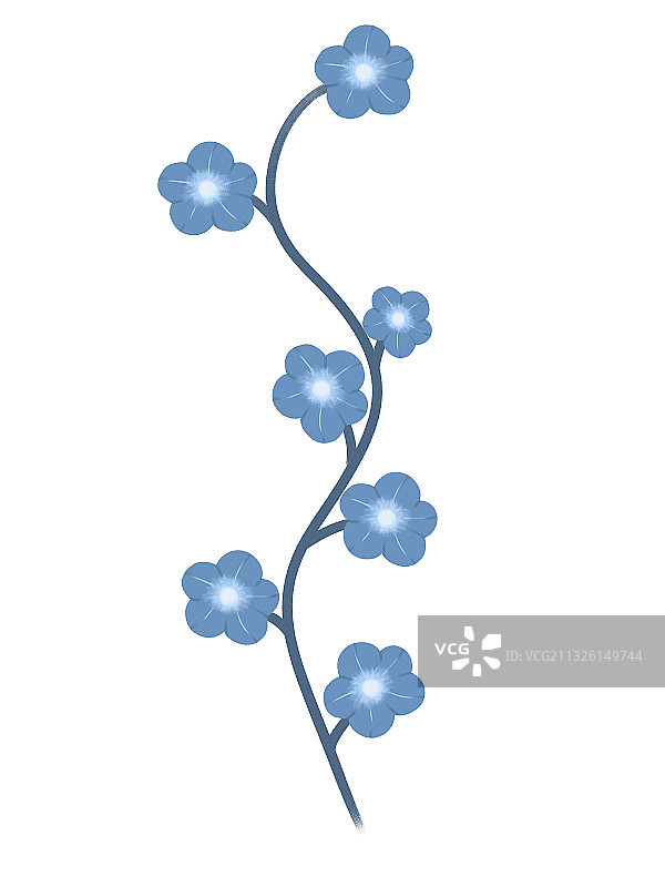 单朵藤花蓝花素材花卉元素插画图片素材