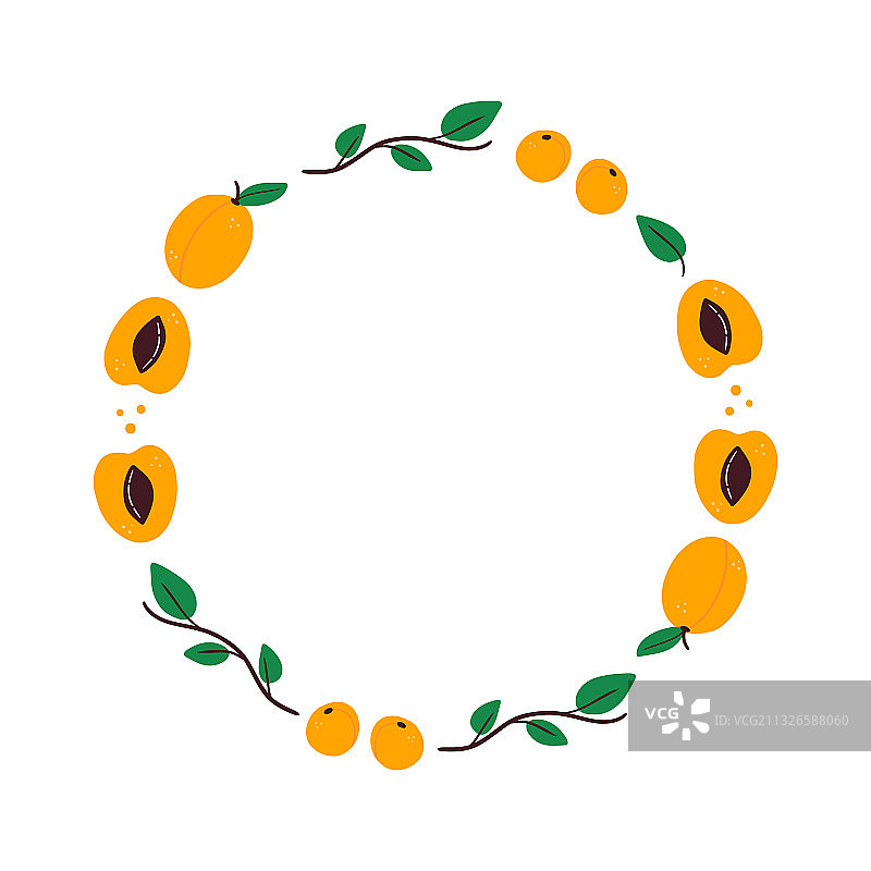 杏和叶圆框图片素材
