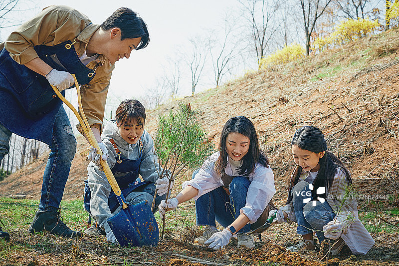 韩国人，树苗，植树节，环保，植树，女人，男人，孩子图片素材