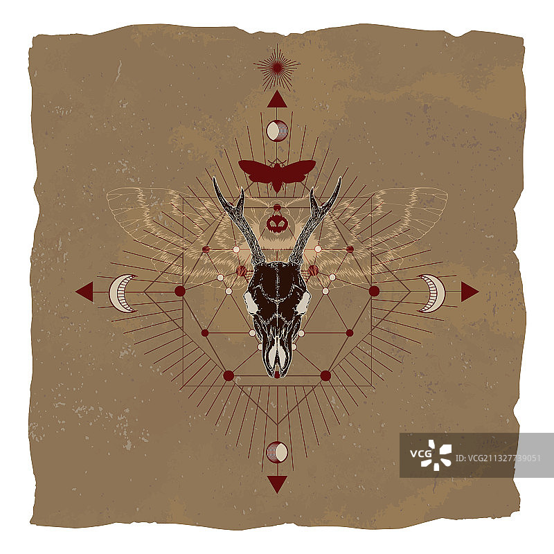 狍颅骨死头蛾和神圣的象征图片素材