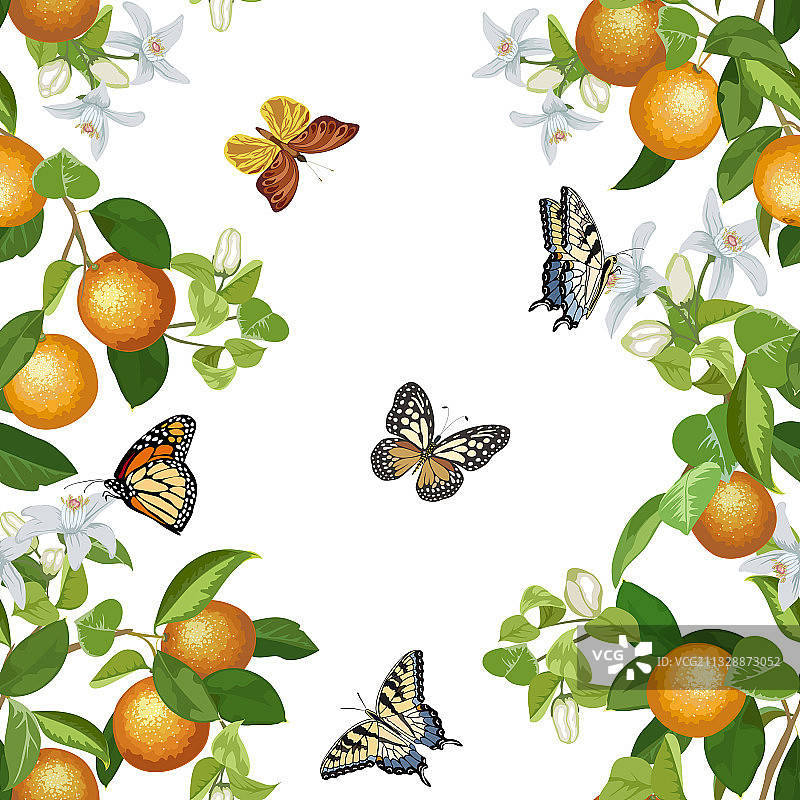蝴蝶和橙色的树枝图案图片素材