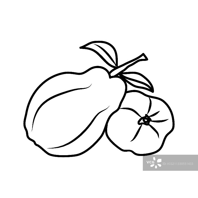 木瓜水果图标设计标志图片素材